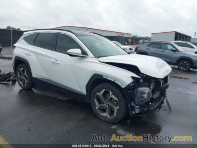 HYUNDAI TUCSON LIMITED, 5NMJE3DE0RH300454