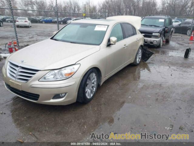 HYUNDAI GENESIS 3.8L, KMHGC46EX9U036229