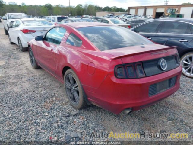 FORD MUSTANG, 1ZVBP8AM7D5252872