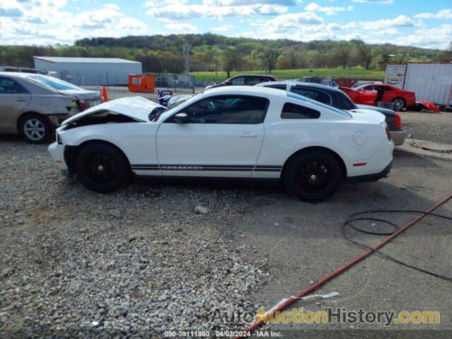 FORD MUSTANG, 1ZVBP8AM5C5228326