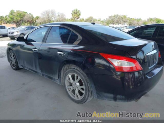 NISSAN MAXIMA 3.5 SV, 1N4AA5AP6AC825699