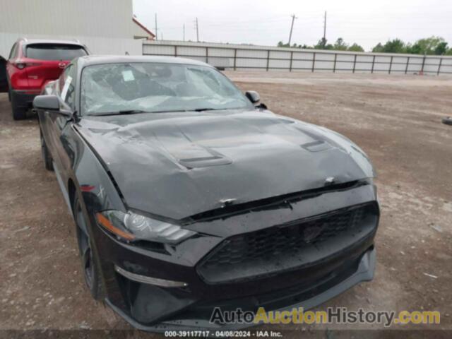 FORD MUSTANG ECOBOOST FASTBACK, 1FA6P8TH5M5109381