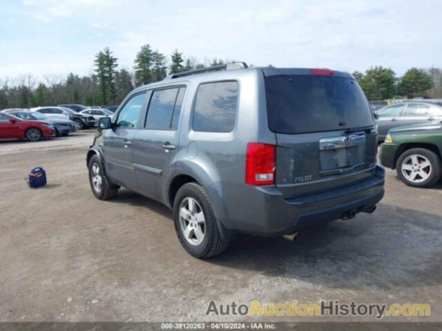 HONDA PILOT EXL, 5FNYF4H56BB013218