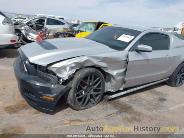 FORD MUSTANG, 1ZVBP8AM7C5212256
