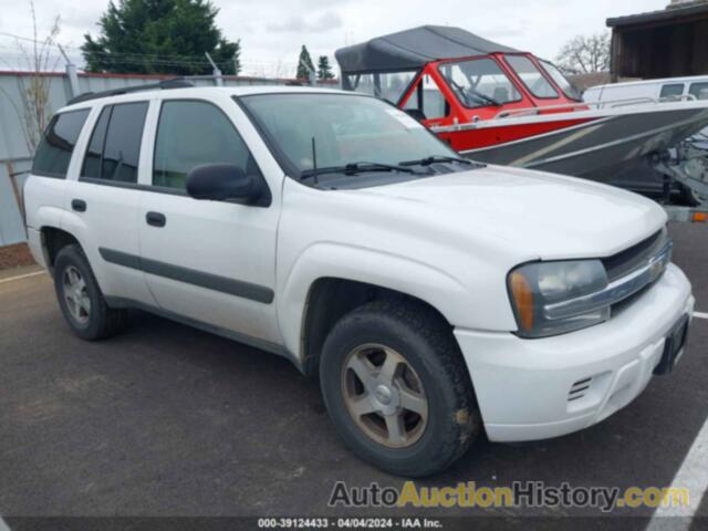 CHEVROLET TRAILBLAZER LS, 1GNDT13S952206173