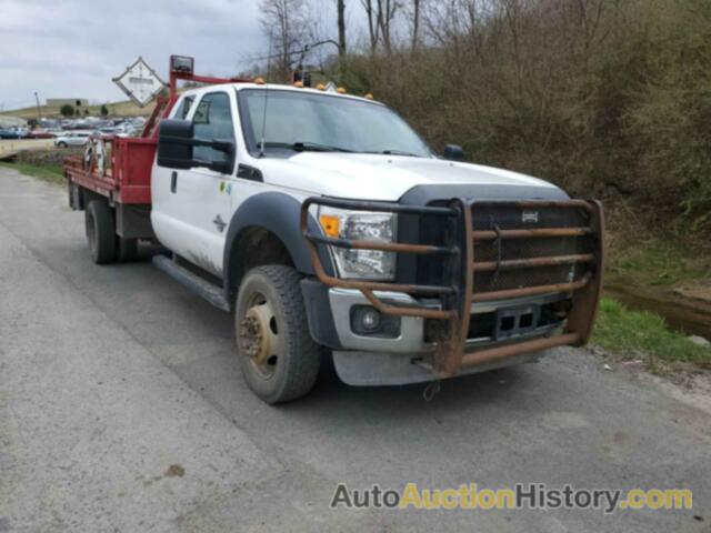 FORD F-550 CHASSIS XL, 1FD0X5HT6CEB44565