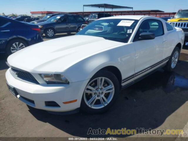 FORD MUSTANG V6/V6 PREMIUM, 1ZVBP8AN4A5124979