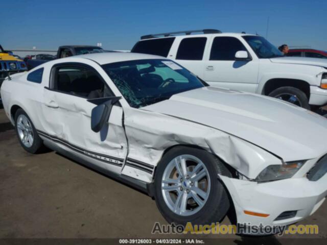 FORD MUSTANG V6/V6 PREMIUM, 1ZVBP8AN4A5124979