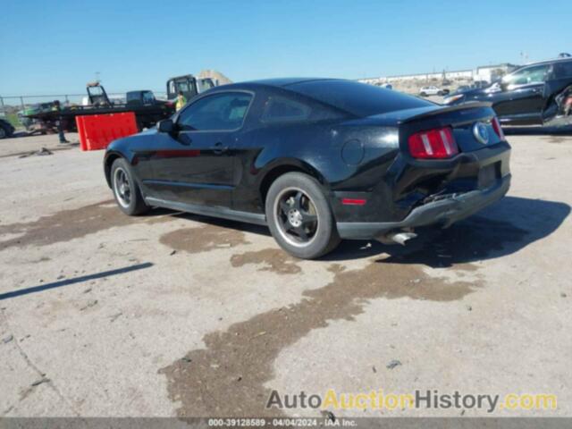 FORD MUSTANG V6, 1ZVBP8AMXB5134473