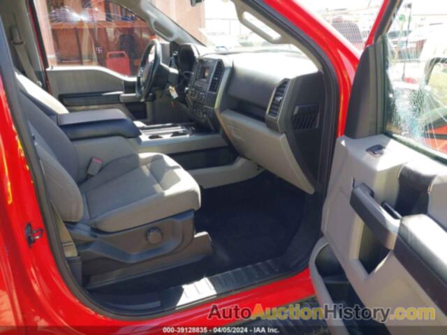 FORD F-150 XLT, 1FTEW1EPXHKD47383