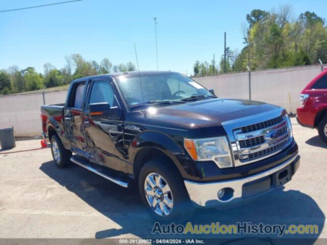 FORD F-150 XLT, 1FTEW1CM6EKF15802