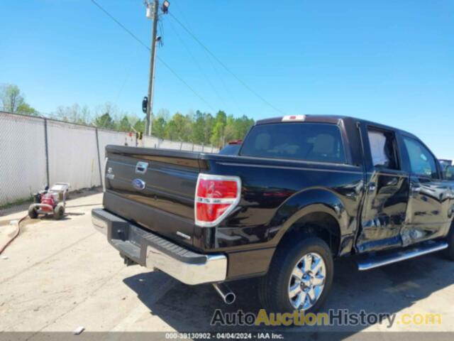 FORD F-150 XLT, 1FTEW1CM6EKF15802