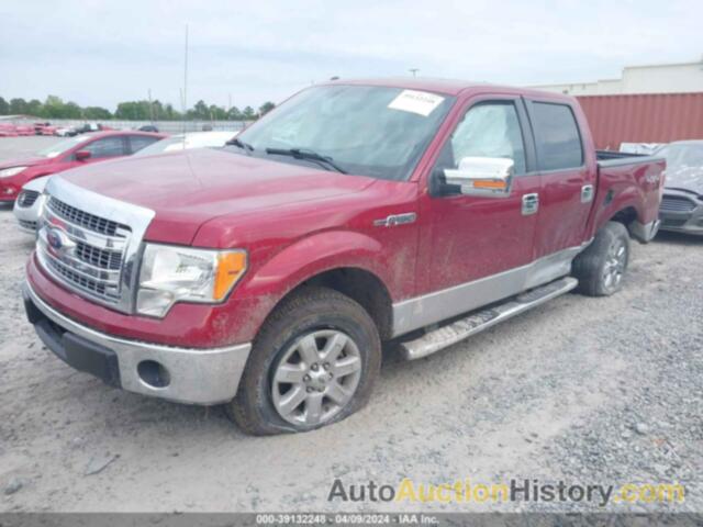 FORD F-150 XLT, 1FTFW1EF6EFC71192