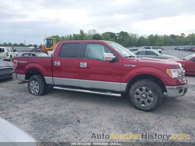 FORD F-150 XLT, 1FTFW1EF6EFC71192