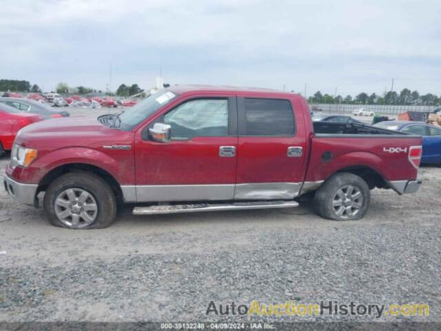 FORD F-150 XLT, 1FTFW1EF6EFC71192