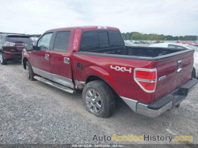 FORD F-150 XLT, 1FTFW1EF6EFC71192