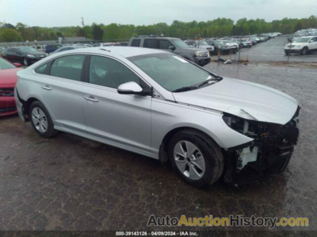 HYUNDAI SONATA LIMITED/SEL/SPORT, 5NPE34AFXKH772857