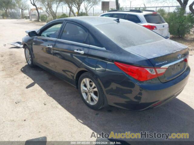 HYUNDAI SONATA LIMITED, 5NPEC4AC0DH562888