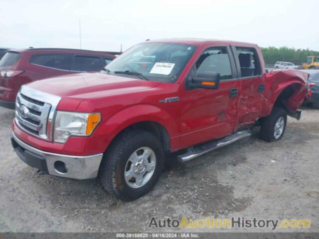 FORD F-150 XLT, 1FTFW1EF6CFC67723