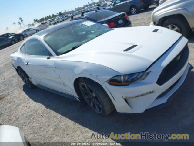 FORD MUSTANG ECOBOOST FASTBACK, 1FA6P8THXL5114283