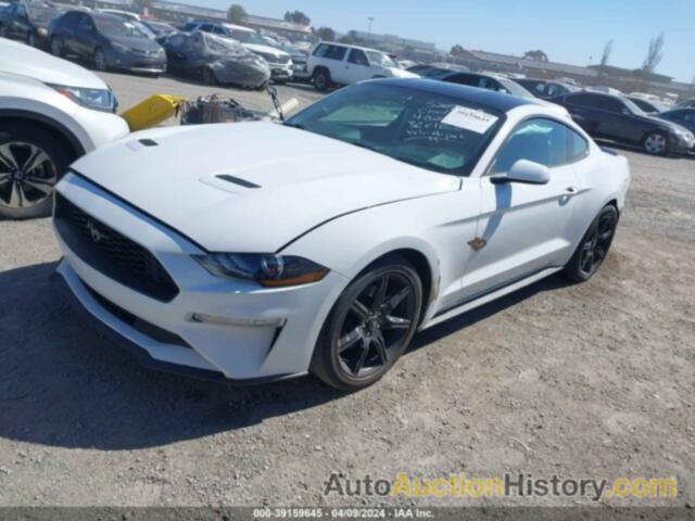 FORD MUSTANG ECOBOOST FASTBACK, 1FA6P8THXL5114283