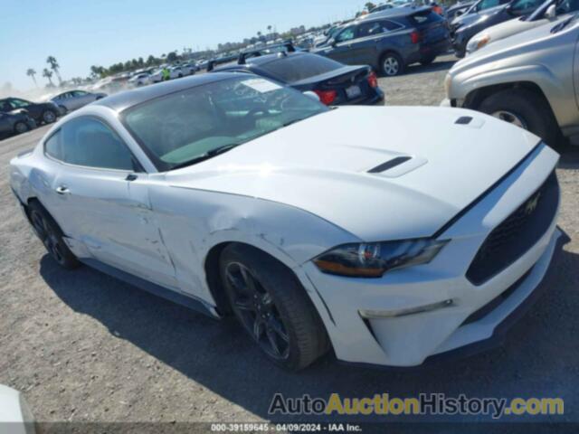 FORD MUSTANG ECOBOOST FASTBACK, 1FA6P8THXL5114283