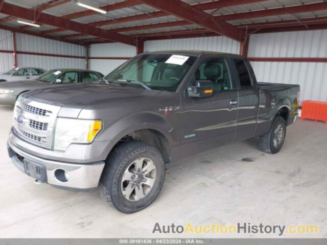 FORD F-150 XLT, 1FTFX1ET8DFB91183