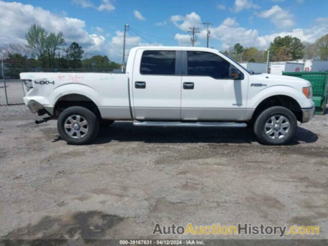 FORD F-150 XLT, 1FTFW1ET2DKD78025