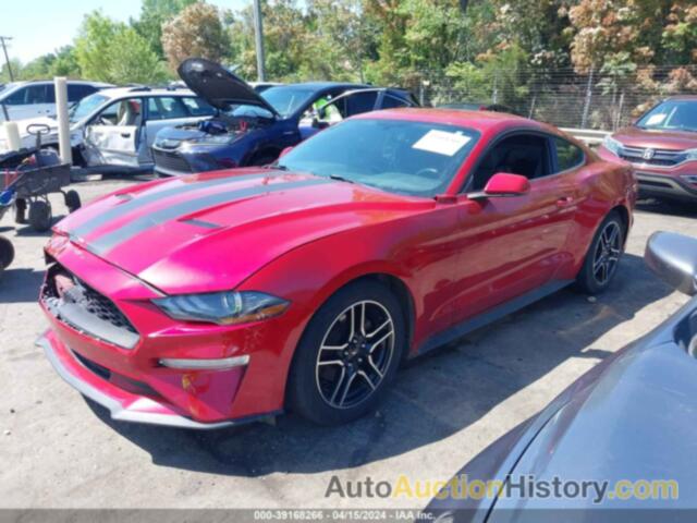 FORD MUSTANG ECOBOOST FASTBACK, 1FA6P8TH0L5159328