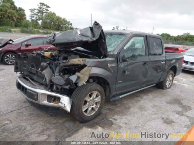 FORD F-150 XLT, 1FTEW1CP6FFC71007