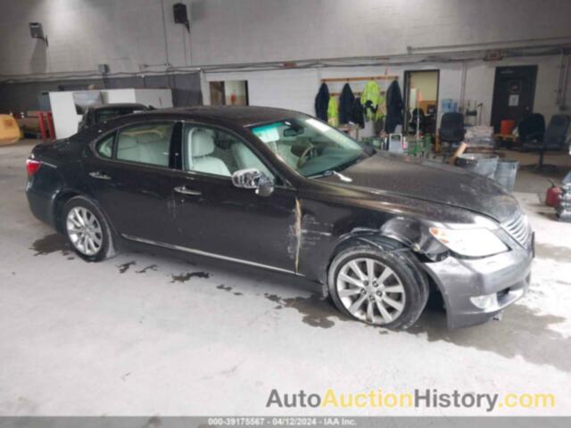 LEXUS LS 460, JTHCL5EF2A5005959