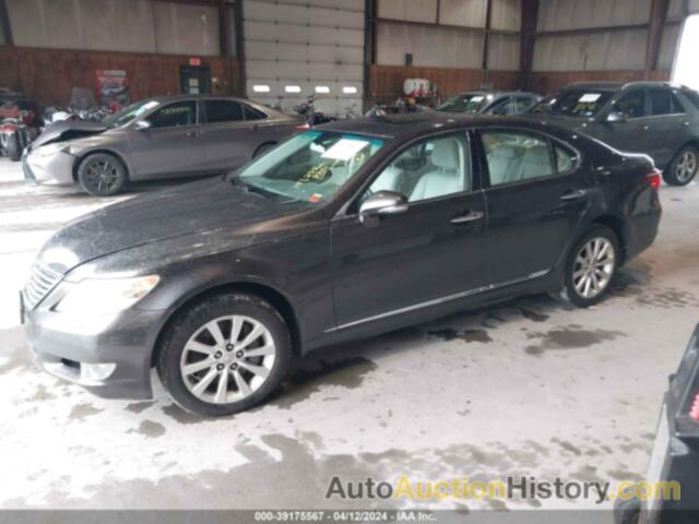 LEXUS LS 460, JTHCL5EF2A5005959