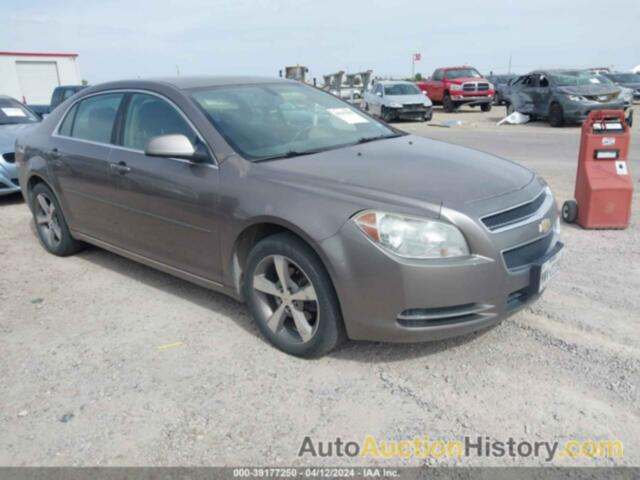 CHEVROLET MALIBU 1LT, 1G1ZC5E19BF336610