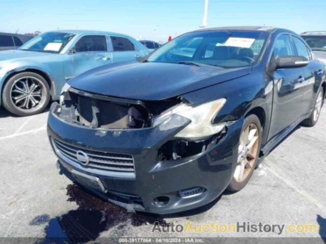 NISSAN MAXIMA 3.5 SV, 1N4AA5AP2BC864503