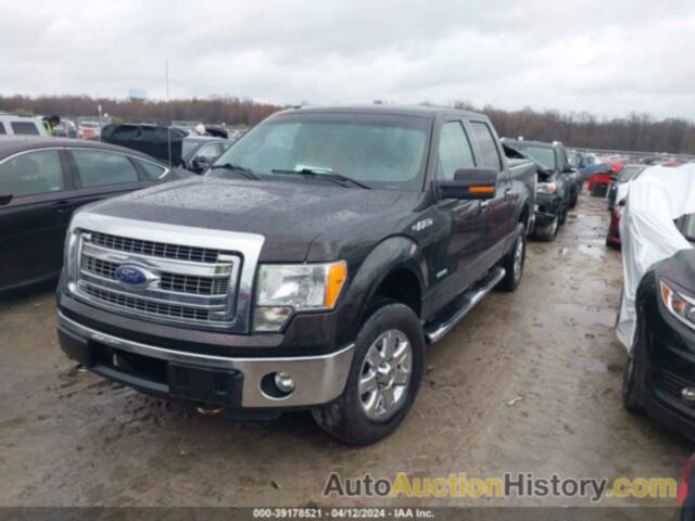 FORD F-150 XLT, 1FTFW1ET0DFC86372