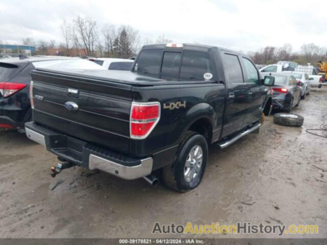 FORD F-150 XLT, 1FTFW1ET0DFC86372