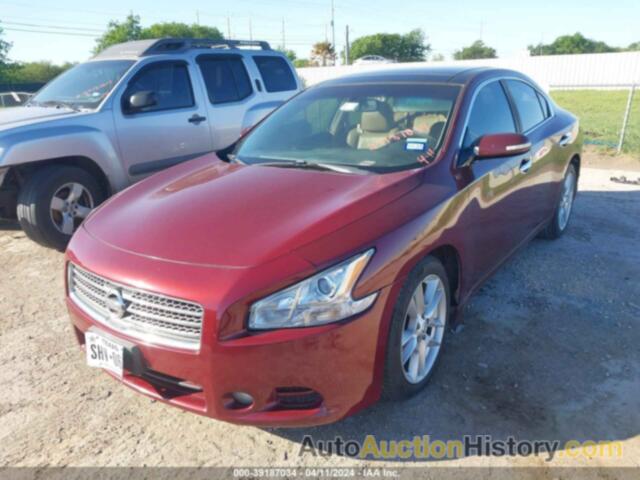 NISSAN MAXIMA 3.5 SV, 1N4AA5AP3AC871636