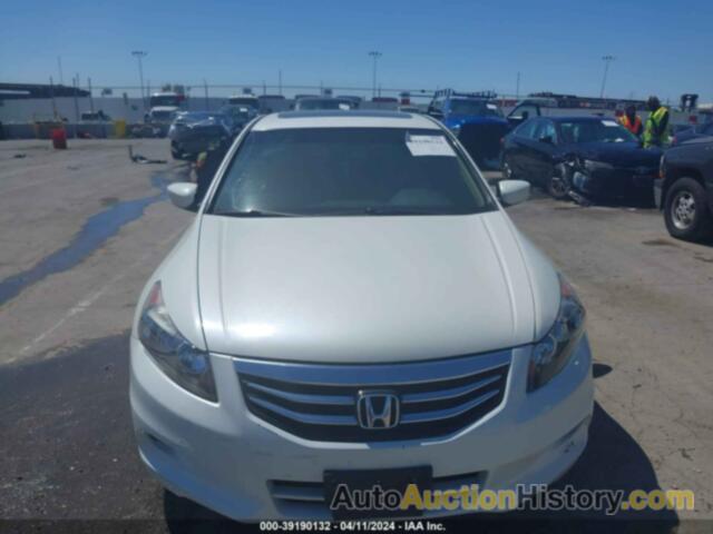 HONDA ACCORD 3.5 EX-L, 1HGCP3F87BA000812