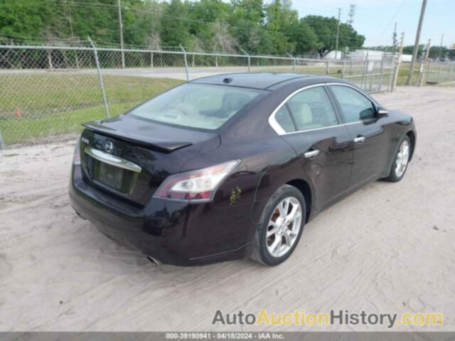 NISSAN MAXIMA 3.5 SV, 1N4AA5APXCC840841