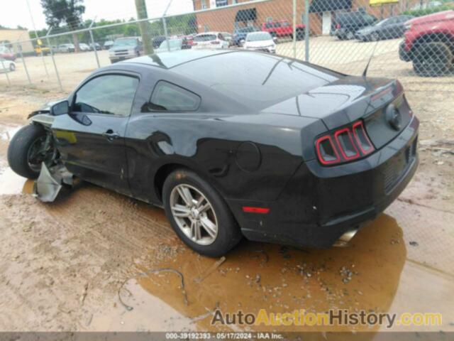 FORD MUSTANG V6, 1ZVBP8AM5E5237739