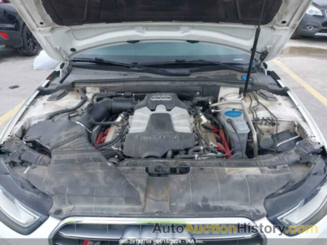 AUDI S4 3.0T PREMIUM PLUS, WAUBGAFL5DA061529