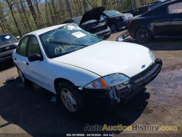 CHEVROLET CAVALIER CNG, 1G1JC524027389069