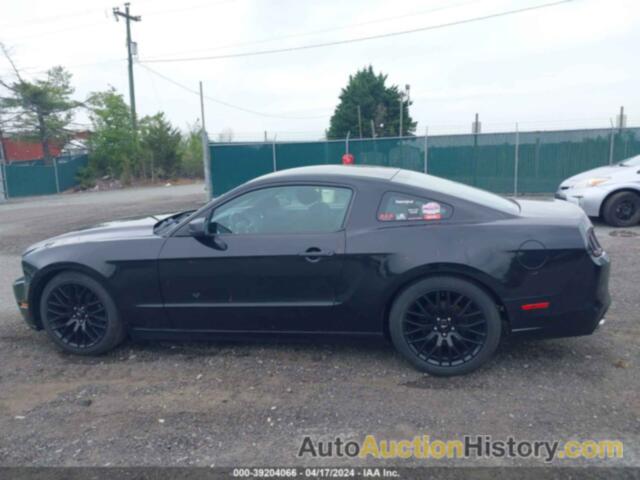 FORD MUSTANG V6, 1ZVBP8AM5E5205809