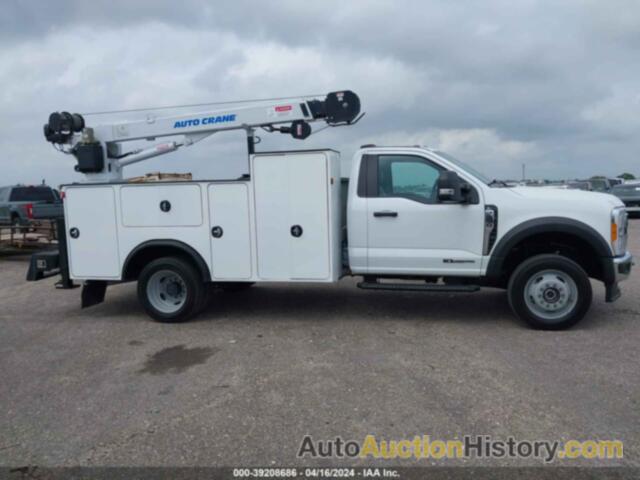 FORD F-550 CHASSIS XL, 1FDUF5HT9PED19241