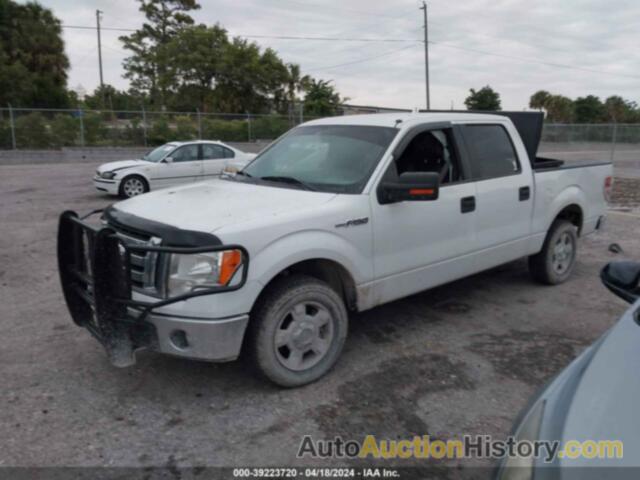 FORD F-150 XLT, 1FTEW1CM7BFD22532