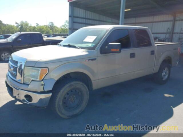 FORD F-150 FX4/HARLEY-DAVIDSON/KING RANCH/LARIAT/PLATINUM/XL/XLT, 1FTFW1EV8AFD64300