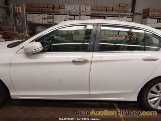 HONDA ACCORD EX-L, 1HGCR2F80EA104096