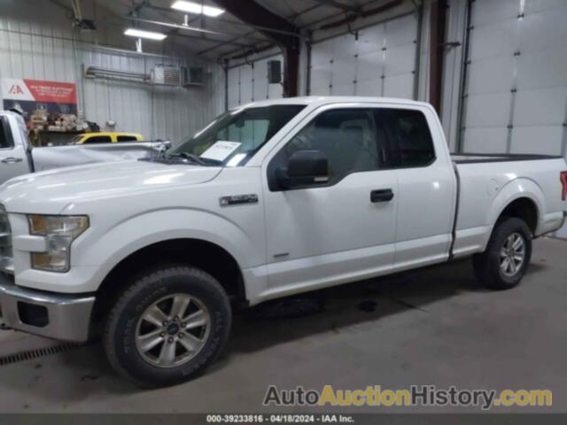 FORD F-150 XLT, 1FTFX1EG7FKE44460