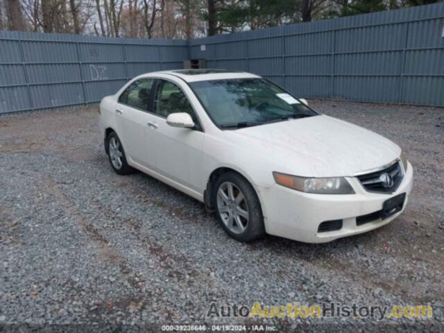 ACURA TSX, JH4CL96884C018688