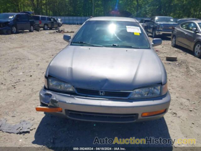 HONDA ACCORD LX, JHMCD5636VC021519